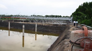   Dừng dự án nuôi tôm trong rừng phòng hộ Cần Giờ