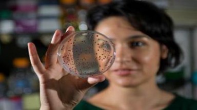   Làm sống lại vi khuẩn 500 triệu tuổi