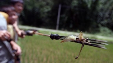 Mưu sinh bằng nghề bắn... săn sắt