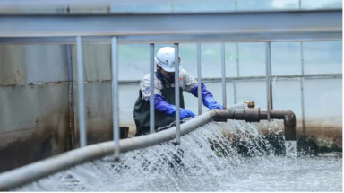 Dự án thử nghiệm thí điểm làm sạch sông Tô Lịch được Nhật tài trợ 100%