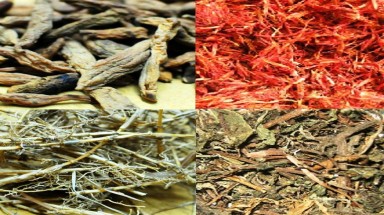 Bài thuốc hay dành cho người hói đầu