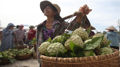  Na 1 kg mỗi trái ở chợ đầu mối Xứ Lạng