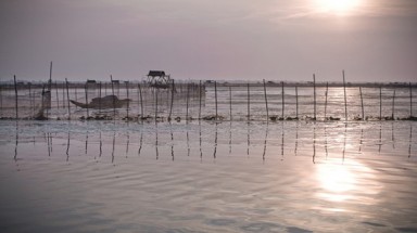 Trao giải Cuộc thi ảnh "Đất ngập nước: Bảo tồn và phát triển"