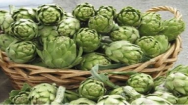  Lâm Đồng: Giá bông atisô tăng vọt