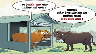 Trâu chửi bò: Đúng là ngu như bò!