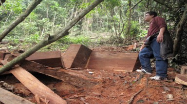 Ba Bể (Bắc Kạn): Dân không mặn mà bảo vệ rừng