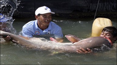 Đề nghị hoãn xây đập trên sông Mekong