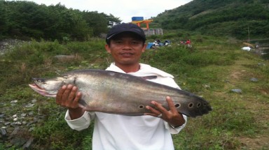 Câu được cá thác lác 7 kg
