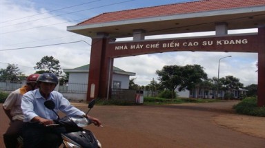 Gia Lai: Dân bỏ xứ vì ô nhiễm