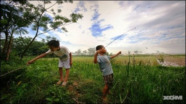 Những mùa câu xí cờ