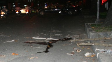  TPHCM: Cây gãy nhánh gần Lăng Ông Bà Chiểu đập chết người