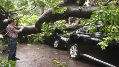  Hà Nội: Bão quật cây xanh đổ la liệt, 1 người chết