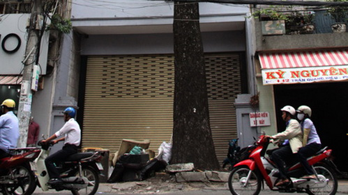 TP.HCM: “Hạ độc” cây xanh