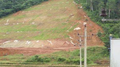   Cỏ ”lạ” mà quen