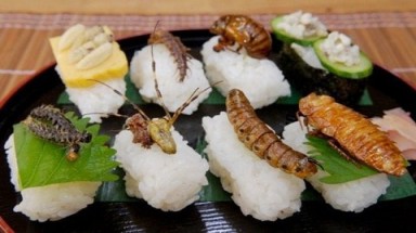  20 năm nữa loài người sẽ ăn gì?