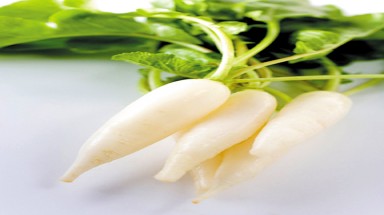 Củ cải trắng điều trị ung thư