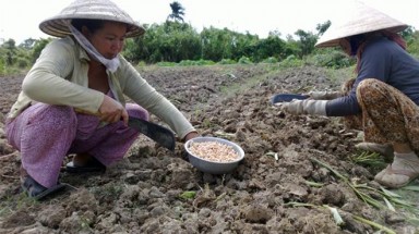  Xét xử vụ cán bộ Sở Tài nguyên - Môi trường tỉnh Phú Yên tham ô