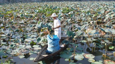 Cú sốc... dioxin