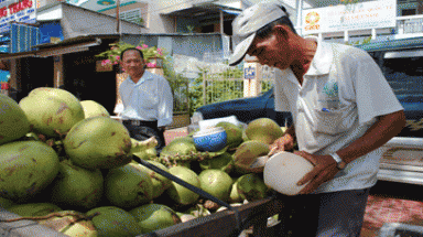 Máy gọt vỏ dừa tươi