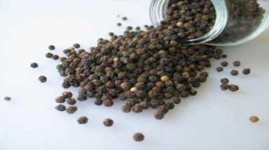 Vì sao tiếp xúc với hồ tiêu lại hắt hơi?