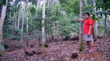 Mỗi người dân là một “kiểm lâm viên”
