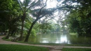 Bảo vệ lá phổi xanh cho vùng Đông Nam Bộ