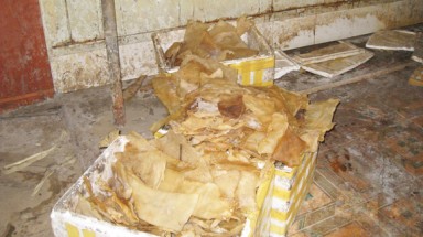 Làm vỏ xúc xích từ lòng lợn thối