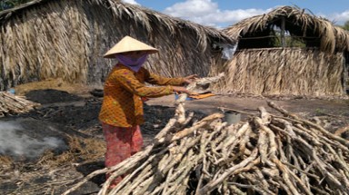 Cà Mau: Phá rừng để nuôi tôm