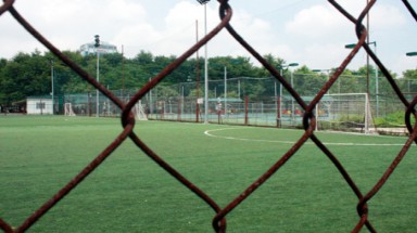 Công viên Tuổi trẻ bị băm nát: “Đói quá mới làm như vậy!”