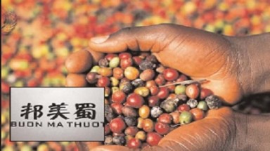  Bảo vệ thương hiệu Việt: Nói nhiều, làm chẳng bao nhiêu