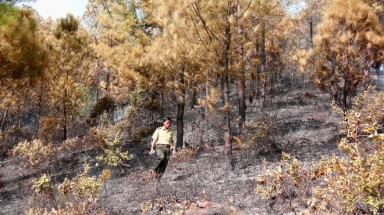  Thừa Thiên Huế: đốt vàng mã gây cháy rừng