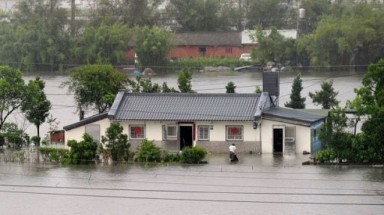 Đài Loan “tê liệt” vì bão Saola