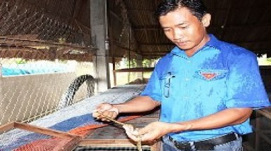 Kiếm bạc tỷ nhờ... rắn trâu, kỳ đà, chim trĩ