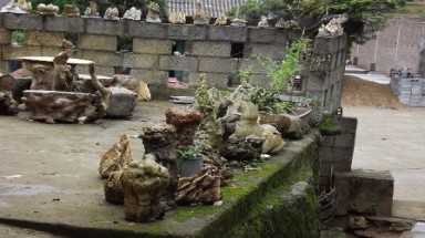 "Vặn cổ" hang động Ngườm Ngao, dân lấy đá về chơi cảnh