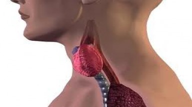 Thực phẩm cho bệnh nhân bị K tuyến giáp?