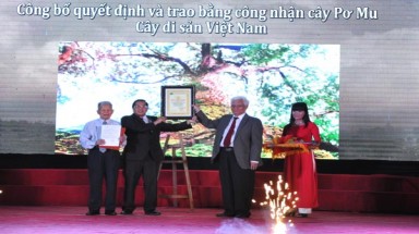 Cần “đánh thức” tiềm năng sinh học để Tây Giang phát triển bền vững