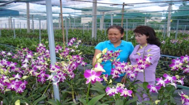 “Sáng tạo trong tập hợp nông dân”