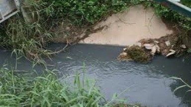 Cần chấn chỉnh công tác bảo vệ môi trường tại các doanh nghiệp