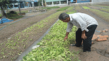   Mưa lớn gây thiệt hại hàng chục tỷ đồng tại Đồng Nai 