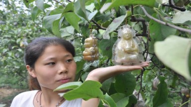 Độc đáo, trái lê hình Phật Bồ Tát
