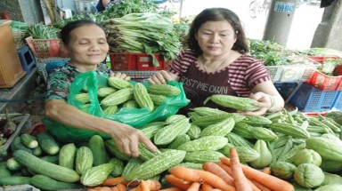 Khổ qua giúp ngừa tiểu đường