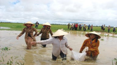 Miền Trung lũ đang lên cao