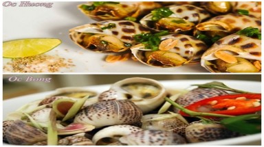 Cách phân biệt ốc hương với ốc bông