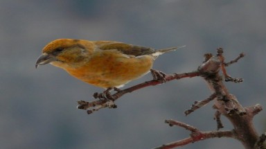  Ảnh hưởng của biến đổi khí hậu đối với môi trường