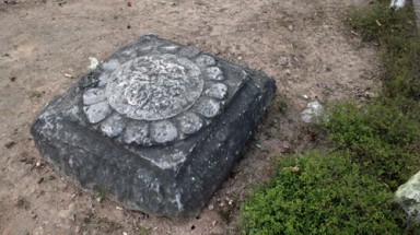 Tìm bông sen dưới chân mình