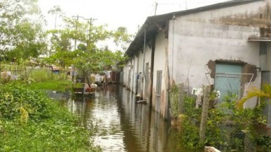  Nước dơ bao vây nhà tập thể giáo viên