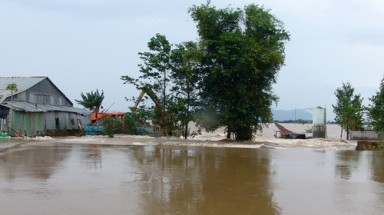 An Giang, Đồng Tháp: Vỡ đê, nước tràn như thác