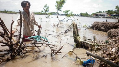  Báo động sạt lở đê biển Tây