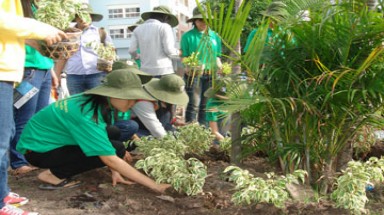 Hà Nội chung tay bảo vệ môi trường 