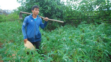 Chim chơrao của núi rừng
